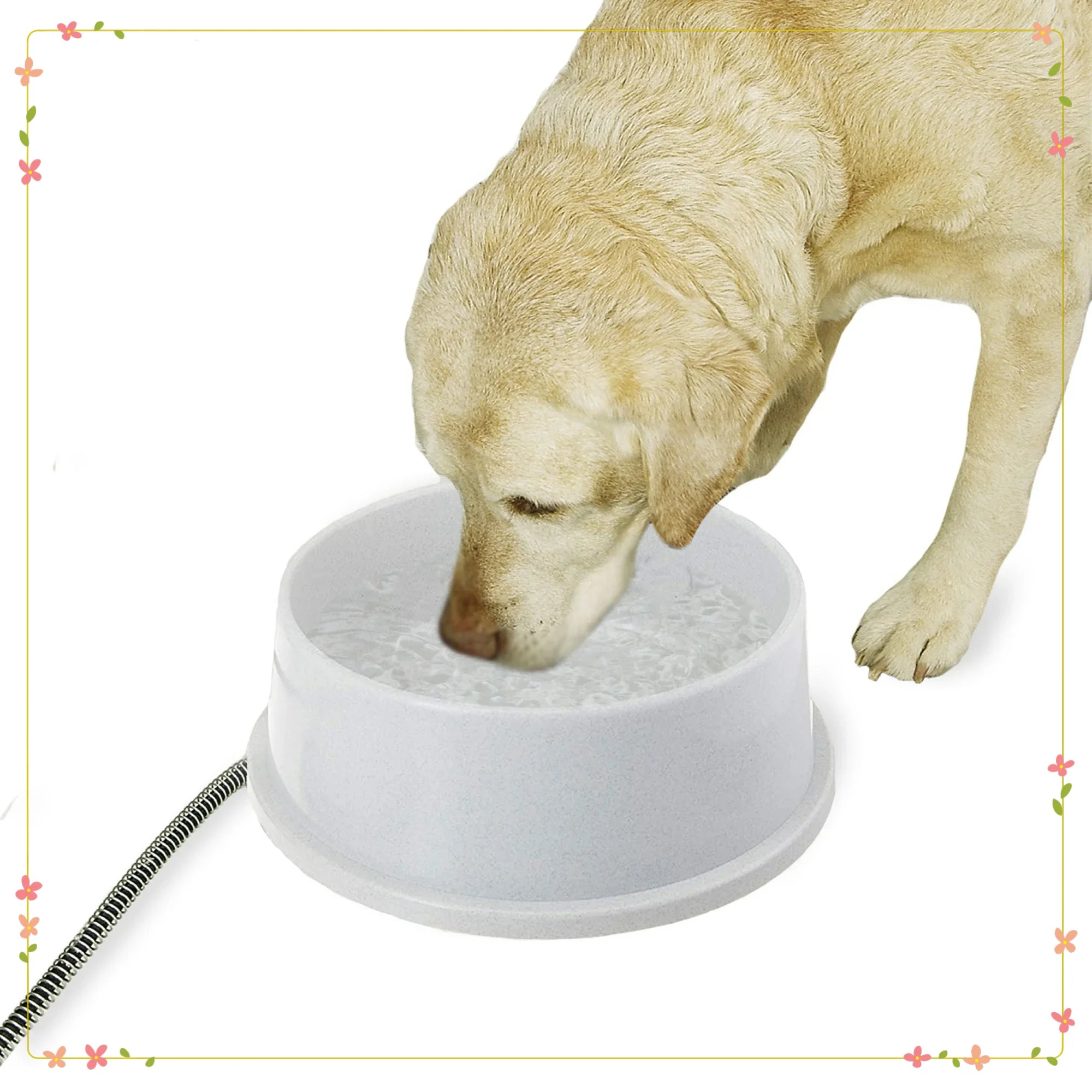 Outdoor Heated Cat & Dog Water Bowl Granite 1.5 Gallons