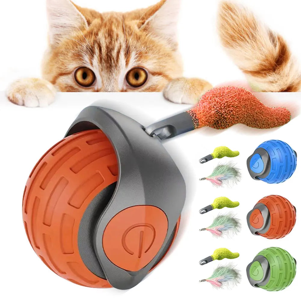 Cat Interactive Ball Toys that is Rechargeable and a Smart Cat Toy.