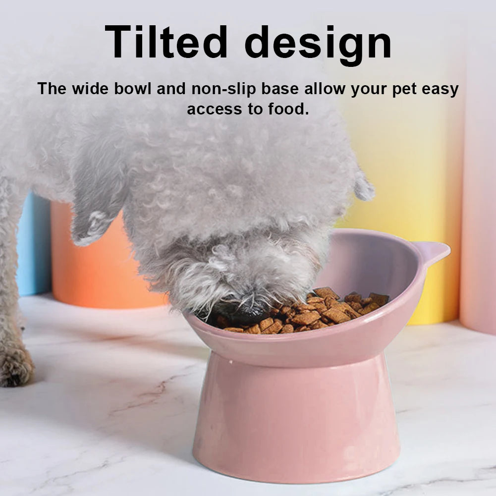 Elevated and Tilted Cat Food Bowl