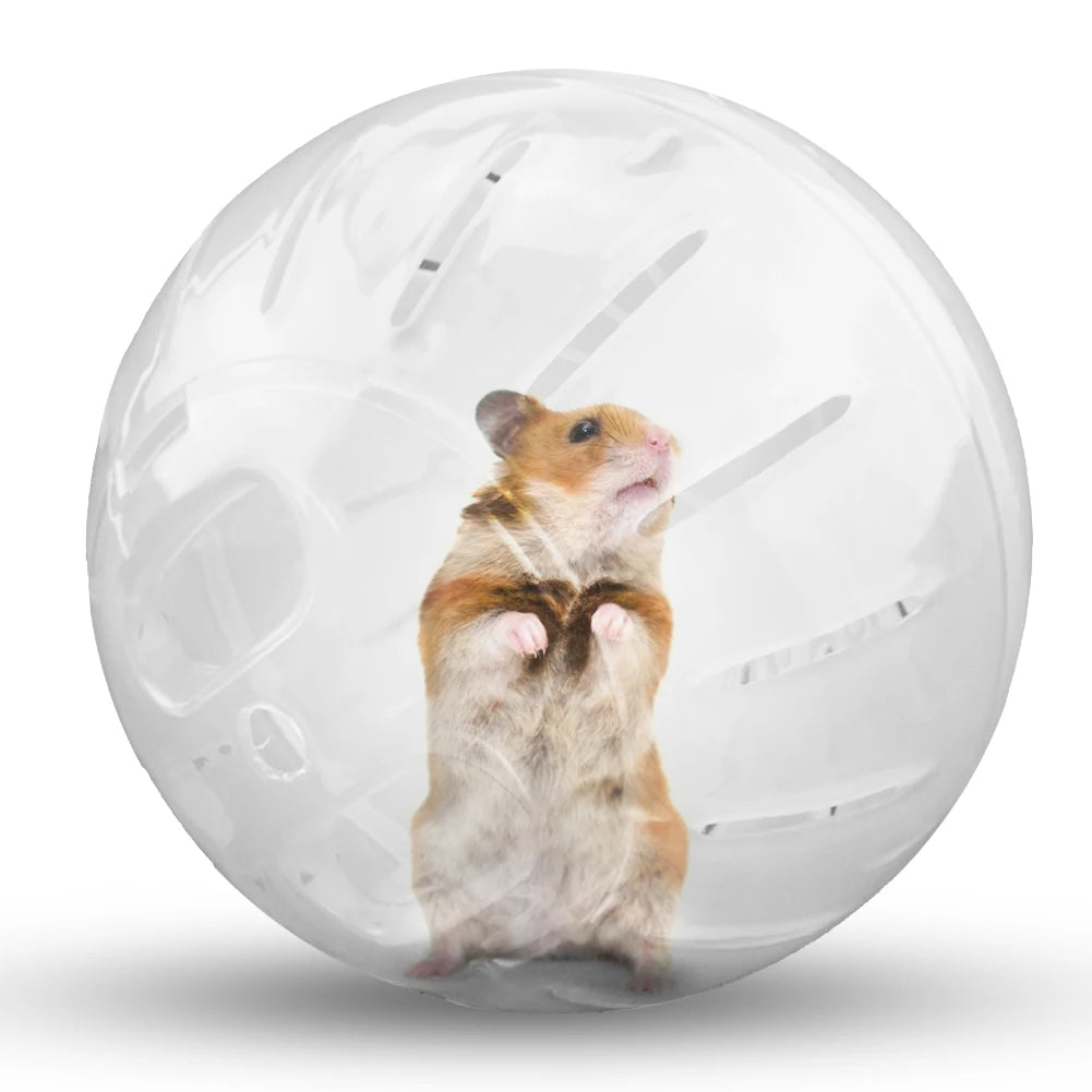 Pet Fitness Running Ball