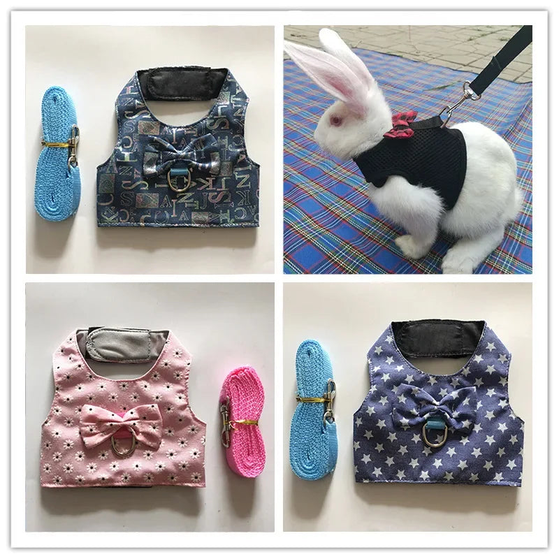 Small Animal Outdoor Walking Harness and Leash Set