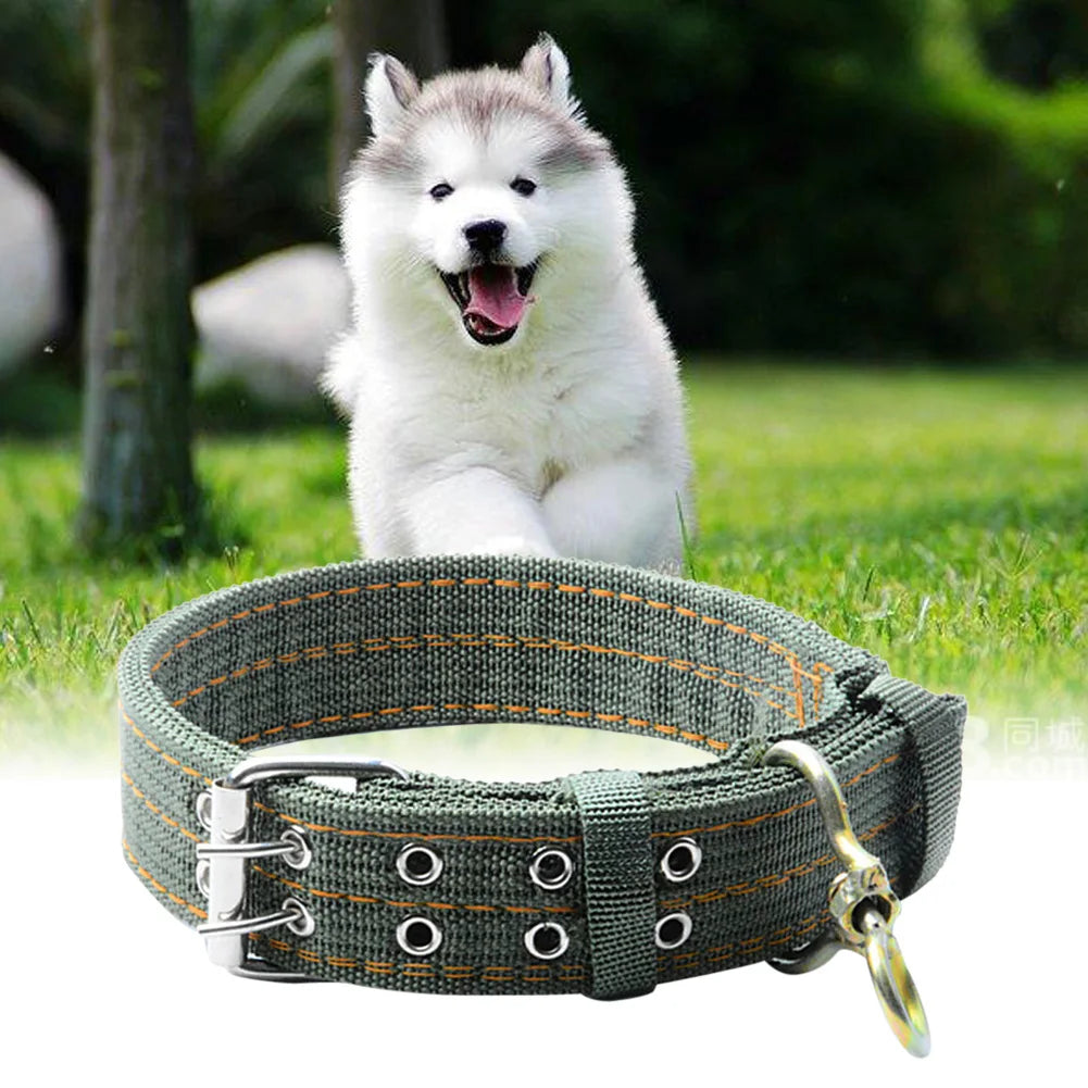 Army Green Strong Military Dog Collar