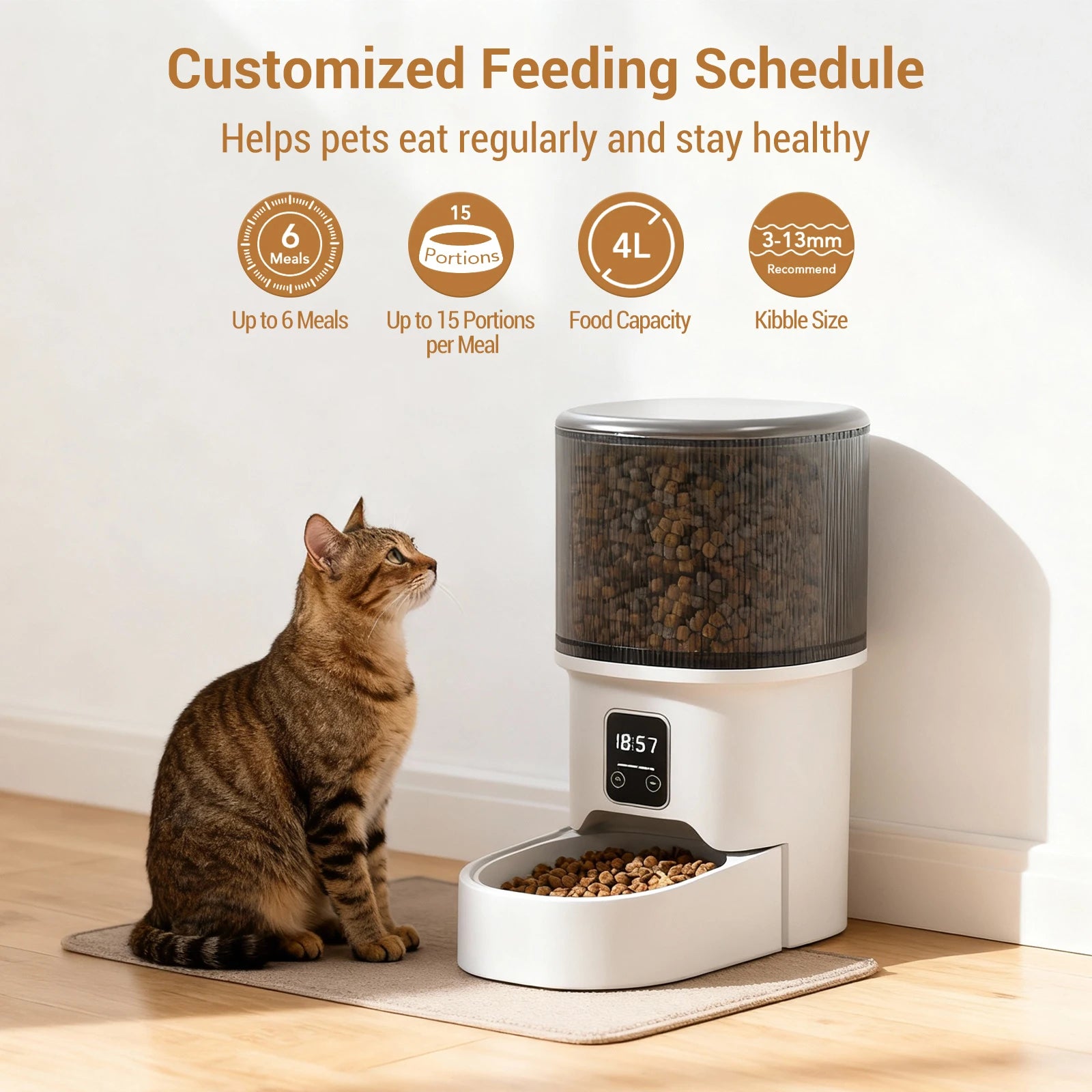 Programmable 4L Automatic Pet Feeder for Small Dogs and Cats. Up to 6 Meals Daily