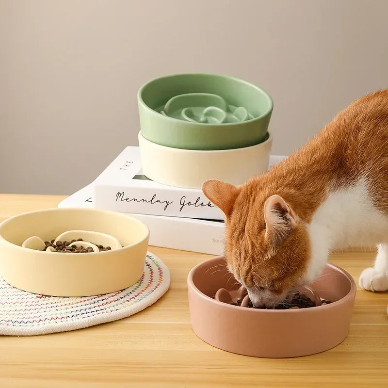 Ceramic Slow Feeding Cat Dog Bowl