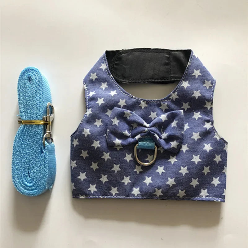 Small Animal Outdoor Walking Harness and Leash Set