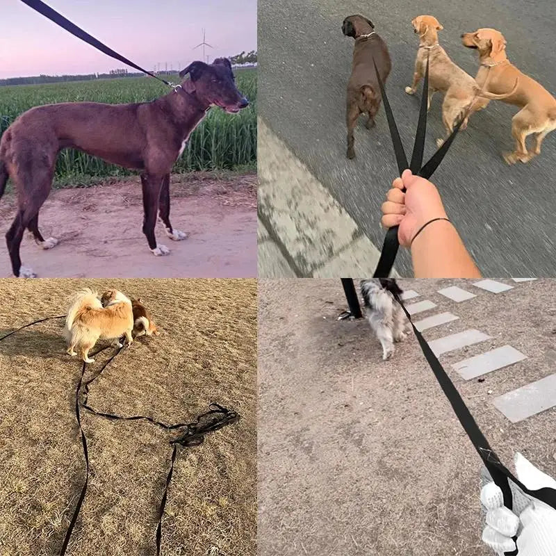 Long Strong Nylon Dog Training Leash For Small To Big Dogs