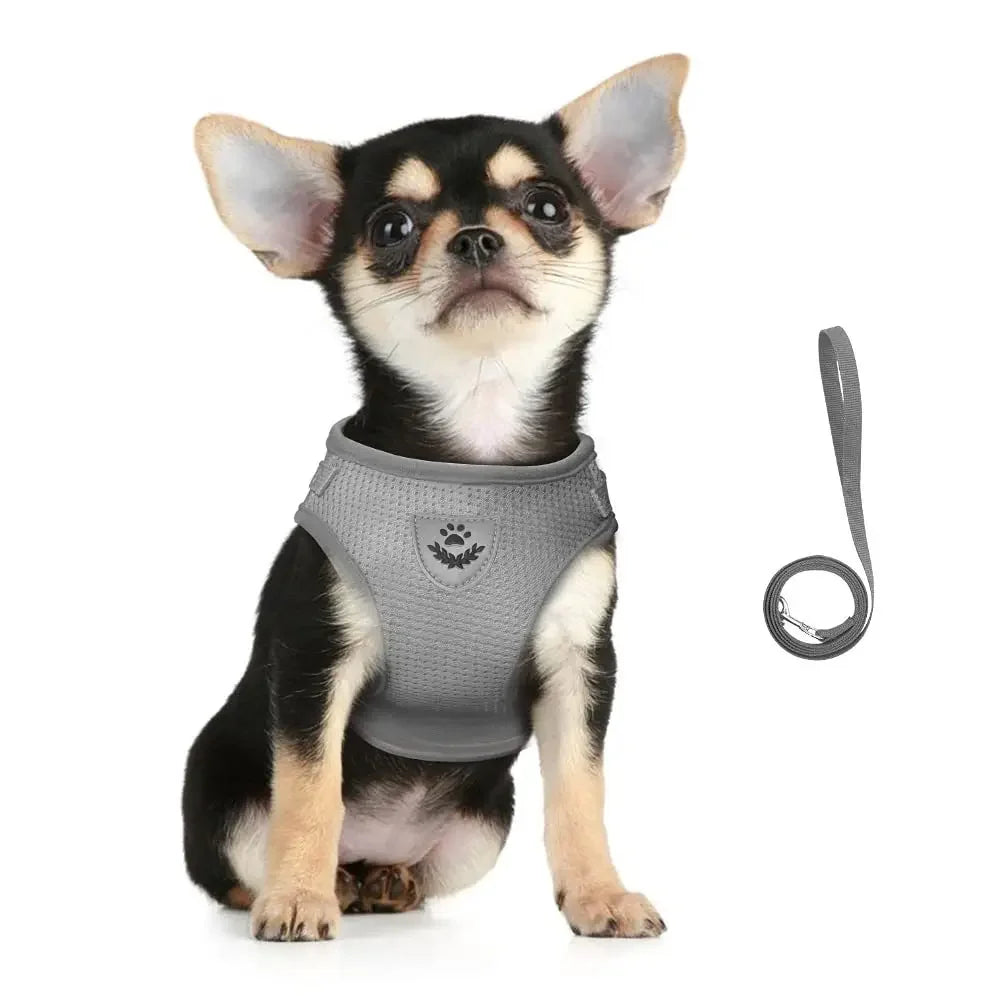 Cat Harness with Adjustable Leash. Reflective and Escape Proof Pet