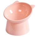 Elevated and Tilted Cat Food Bowl