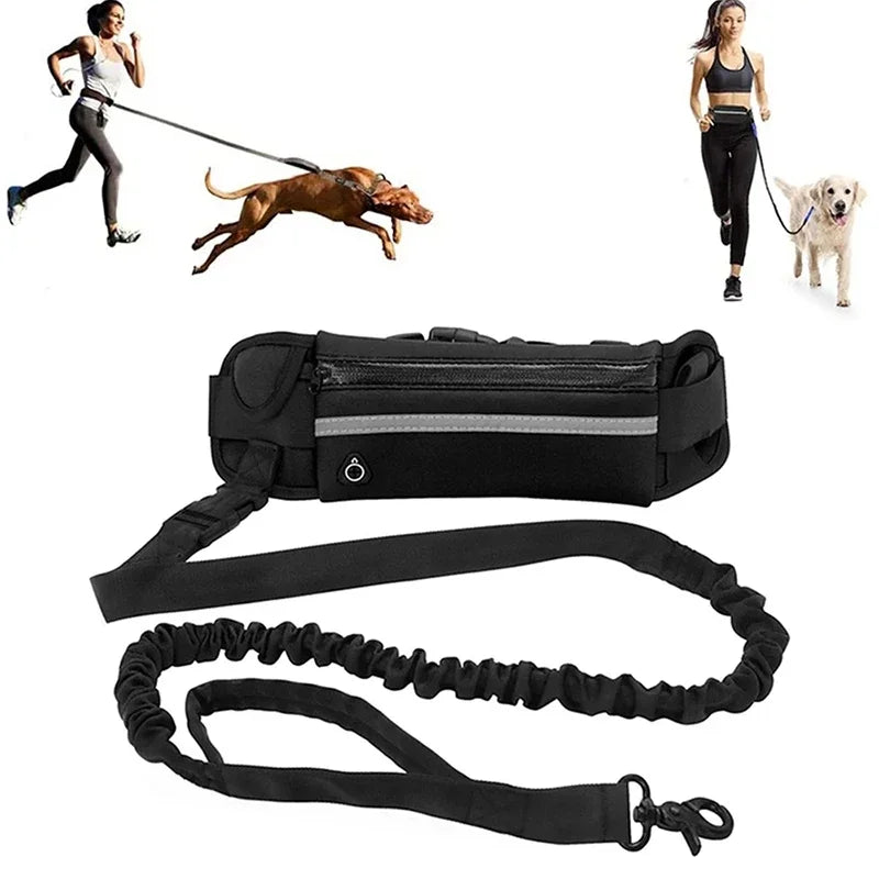 Hands Free Dog Leash for Running Walking. Reflective Leash with Waist Bag. Retractable Elastic Belt.