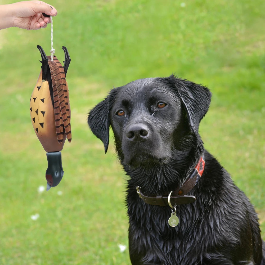 Pheasant Dummy Bumper Toy for Hunting Dog Training,