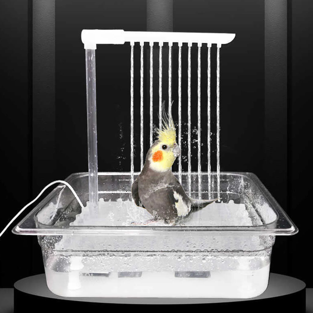 Parrot Automatic Bathtub. Bird Bath with Circulating Water Shower