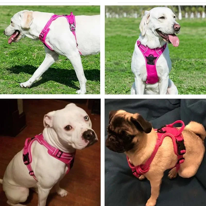 Pet Dog Harness Reflective Adjustable Breathable Vest for Small, Medium, Large Dogs, Cat and Puppy's