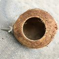 Natural Coco Hideaway Birds Coconut Shell Nest.