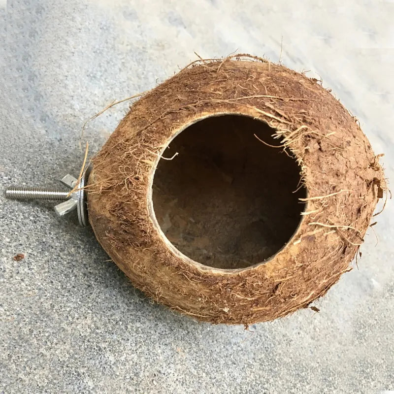 Natural Coco Hideaway Birds Coconut Shell Nest.
