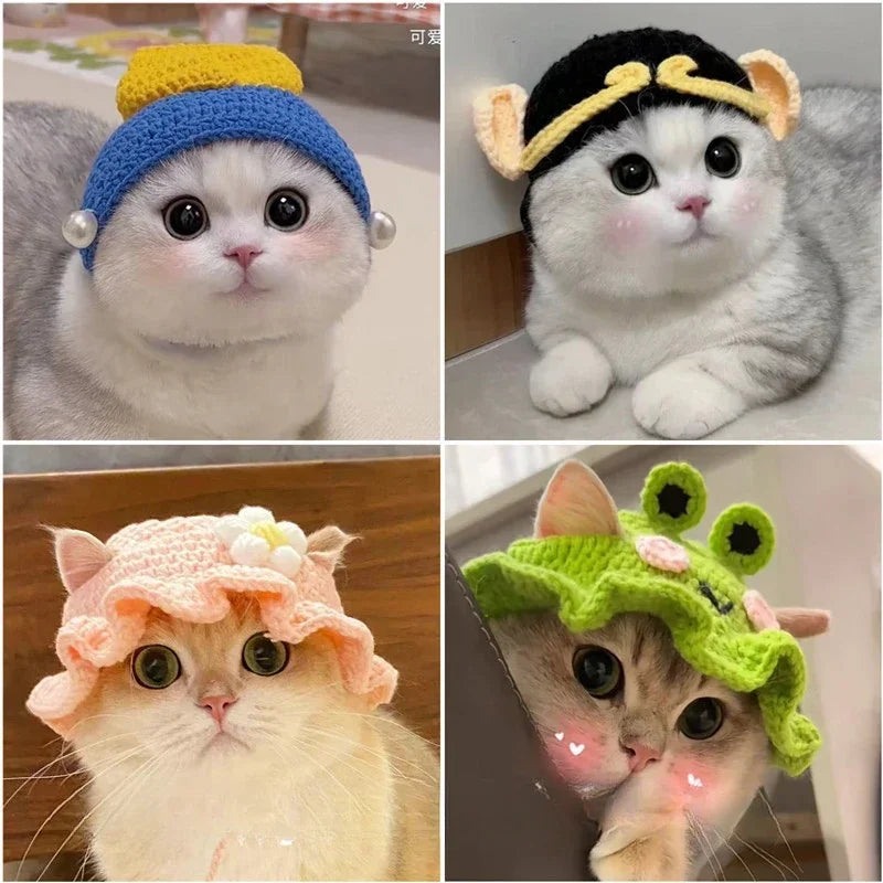 Cute Refined Knitted Cat Hat