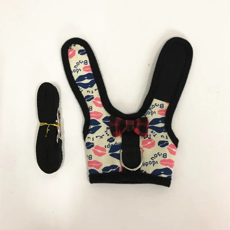 Small Animal Outdoor Walking Harness and Leash Set