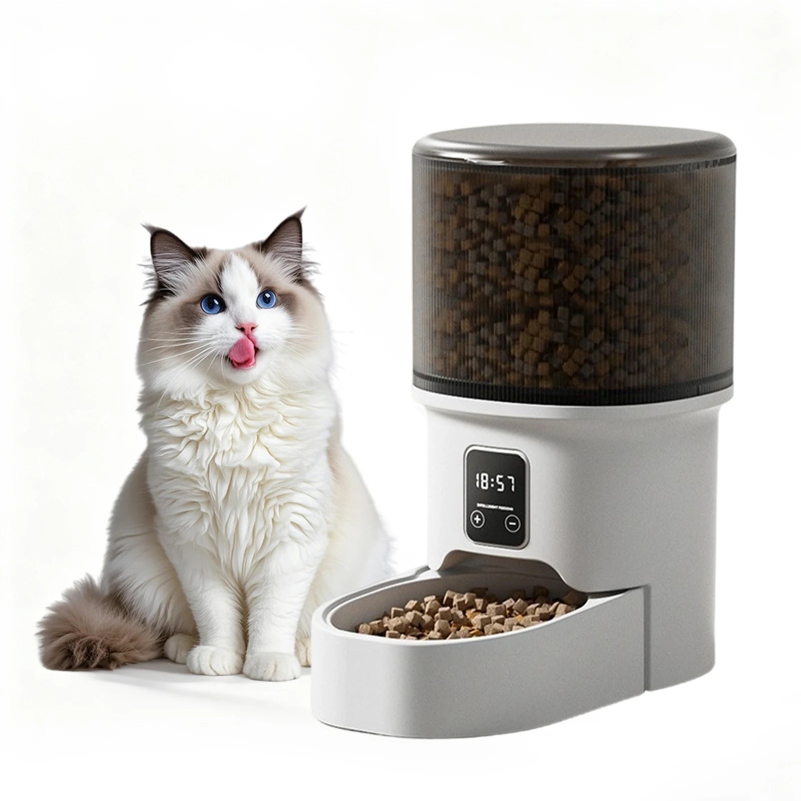 Programmable 4L Automatic Pet Feeder for Small Dogs and Cats. Up to 6 Meals Daily