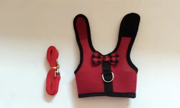 Small Animal Outdoor Walking Harness and Leash Set