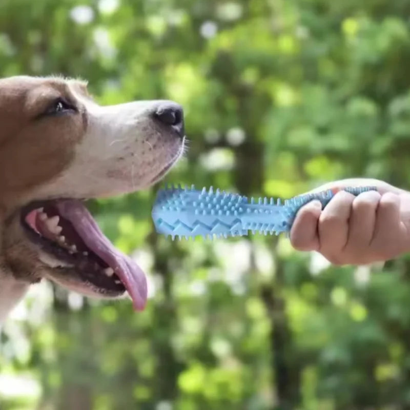 Dog Teething Toy. Chew Stick Bite Resistant Fun. Leak Proof Food Toy. Pet Teether Cleaner Stick