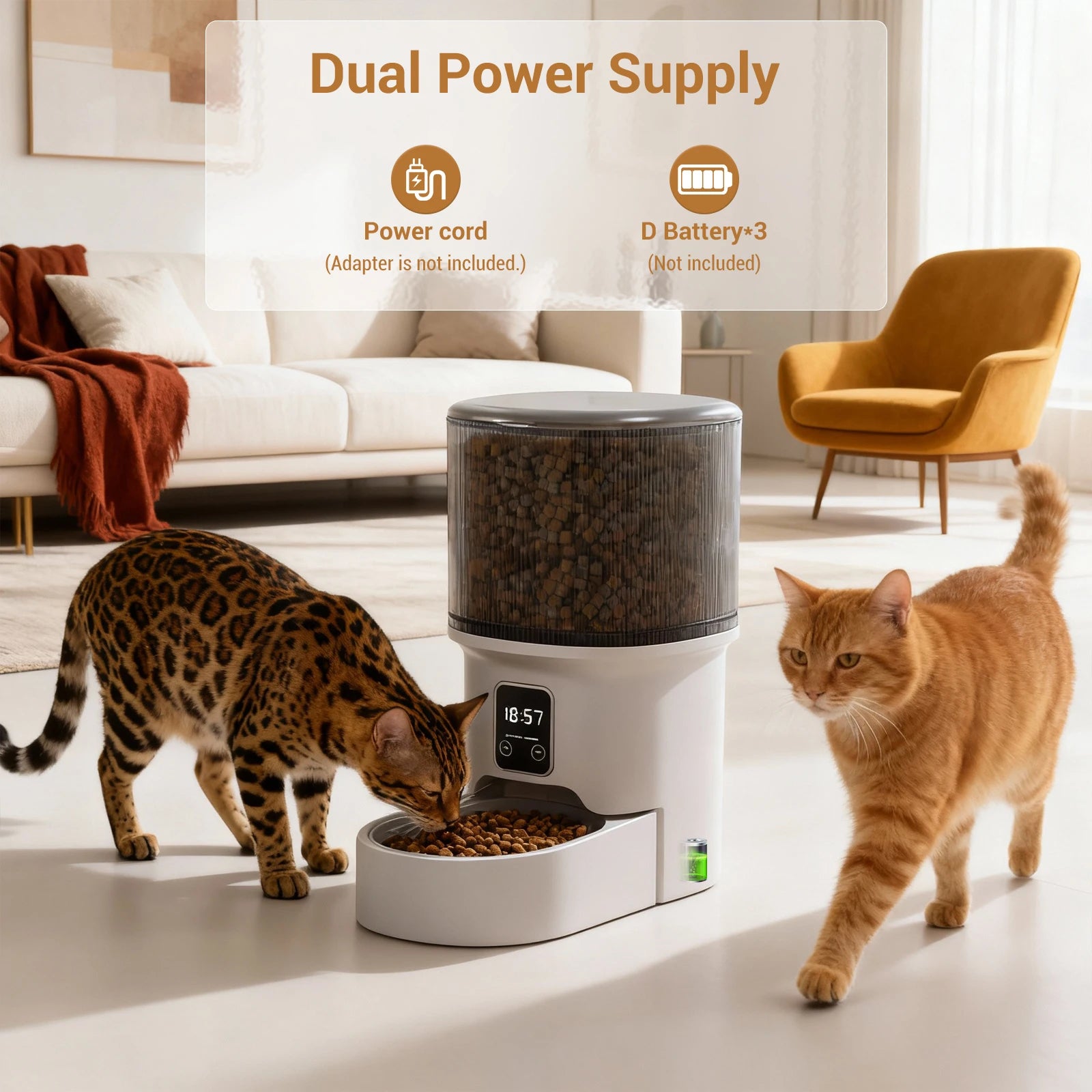 Programmable 4L Automatic Pet Feeder for Small Dogs and Cats. Up to 6 Meals Daily