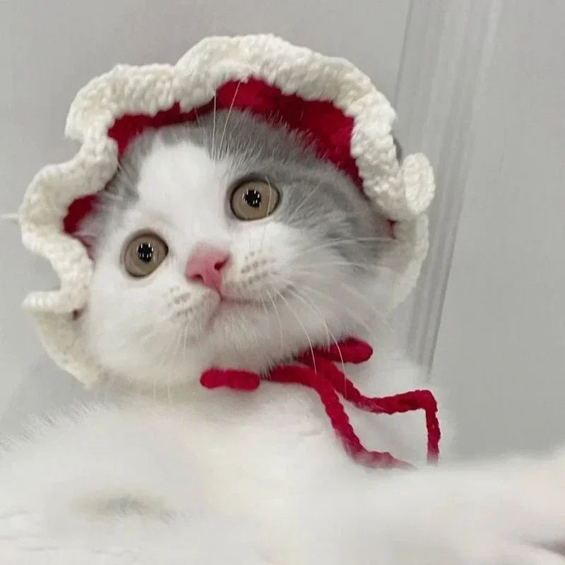 Cute Refined Knitted Cat Hat
