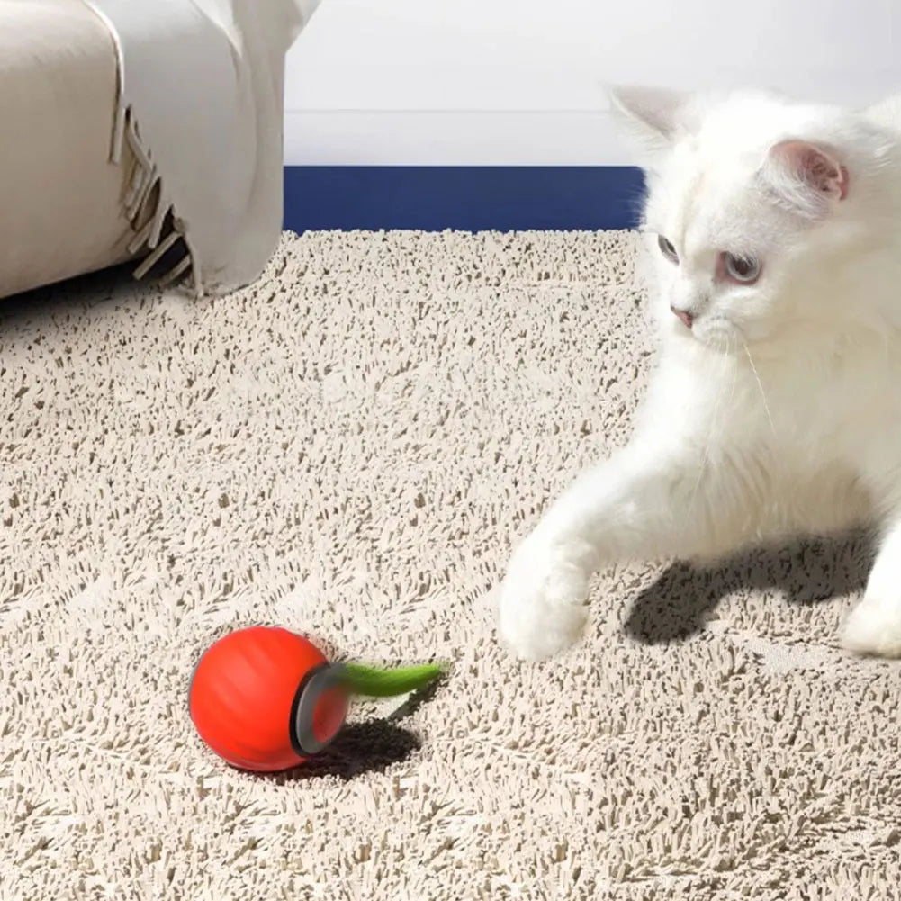 Automatic Moving Cat Toy Ball. Smart Cat Toys. USB Rechargeable.