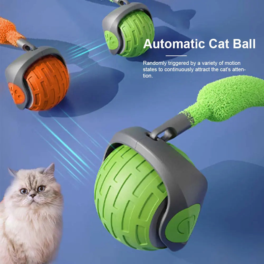 Cat Interactive Ball Toys that is Rechargeable and a Smart Cat Toy.