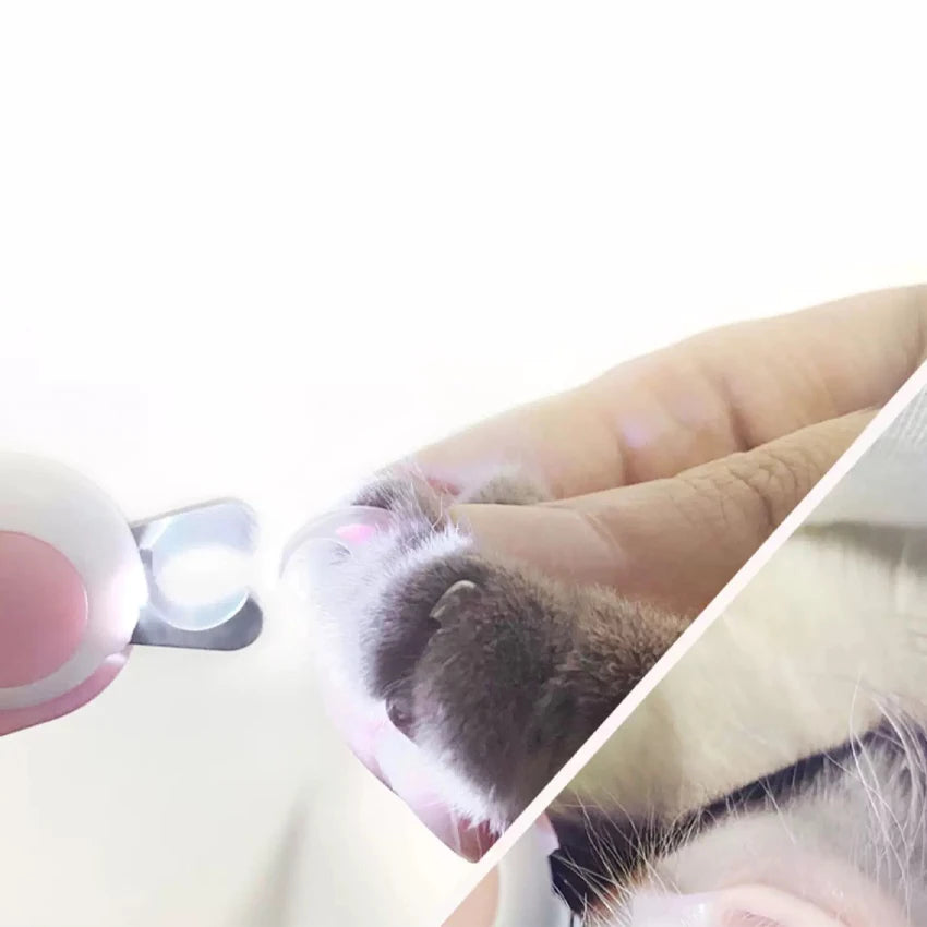 Mini Professional Electric Pet Nail Clippers for Cats and Dogs