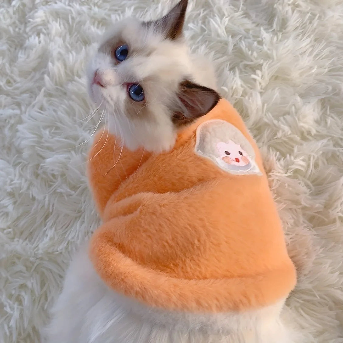 Warm Kitten and Cat Clothes