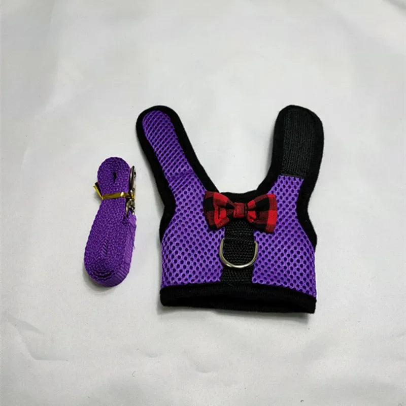 Small Animal Outdoor Walking Harness and Leash Set